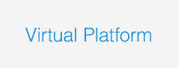 Virtual Platform